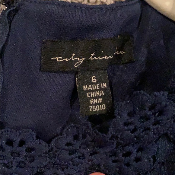 City Triangles Navy Blue Laced Dress - Picture 3 of 5